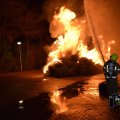 DSC050_09.01.2019