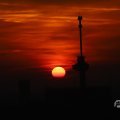 IMG_1594688