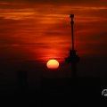 IMG_1594689