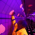 IMG_1595034