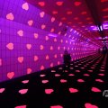 IMG_1595041