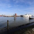 IMG_1595108