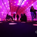 IMG_1595157