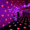 IMG_1595161