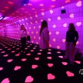 IMG_1595216