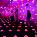 IMG_1595217