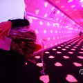 IMG_1595303