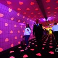 IMG_1595311