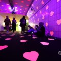 IMG_1595320