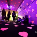IMG_1595321