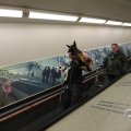 IMG_1595329