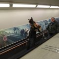 IMG_1595330