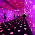 IMG_1595489