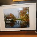 IMG_1604486