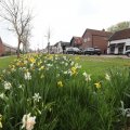 IMG_1604548
