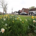IMG_1604550