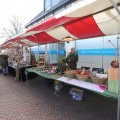 IMG_1611831