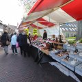 IMG_1611848