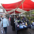 IMG_1611859