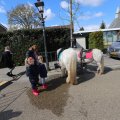IMG_1611976