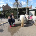 IMG_1611977