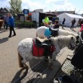 IMG_1611978
