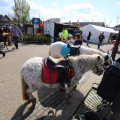 IMG_1611979