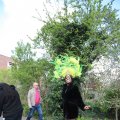 IMG_1612084