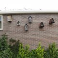 IMG_1623774
