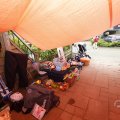 IMG_1623784