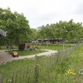 IMG_1624179