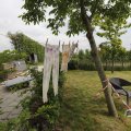 IMG_1624299