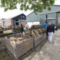 IMG_1624310