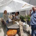 IMG_1624312