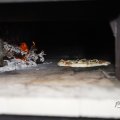 IMG_1624381