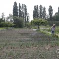 IMG_1624399