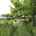 IMG_1624410