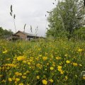 IMG_1624419