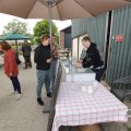 IMG_1624525
