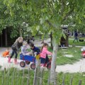 IMG_1624538