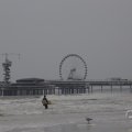 IMG_1629671