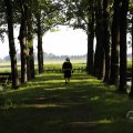 IMG_1631269