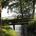 IMG_1631271