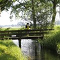IMG_1631272