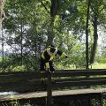 IMG_1631274