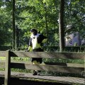 IMG_1631281