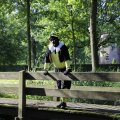IMG_1631282