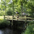 IMG_1631284