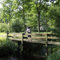 IMG_1631291