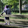 IMG_1631294